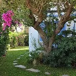 Panorama Paros 3*