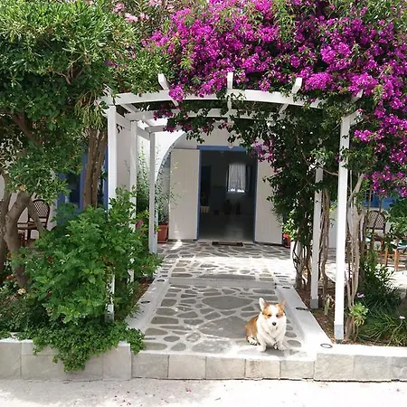 فندق Panorama Paros